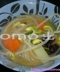 红萝卜大豆芽菜素汤(素菜)的做法步骤