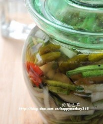 自制泡菜(素菜)的做法步骤