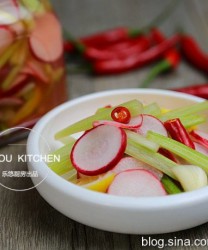 泡菜界的小清新，几个小时就可以上桌的做法步骤