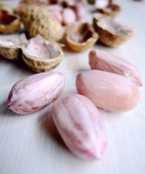 微波花生(零食)的做法步骤