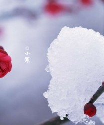 小寒节气 如何保暖脾胃