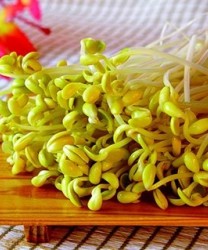 春季养生吃什么？绝不可错过的三大王牌食物