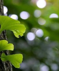 春末气温回升防感冒  人多处少去