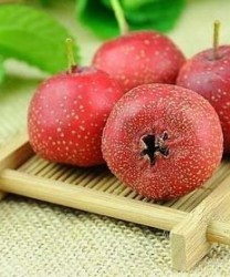 春季养生吃什么  春季饮食应多甘少酸补脾胃
