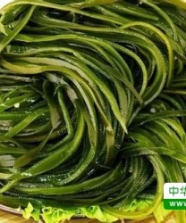 春季清爽低脂的海鲜减肥食物 吃货瘦身不再苦逼