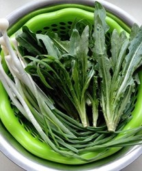 小满养生传统 吃苦菜清热解毒