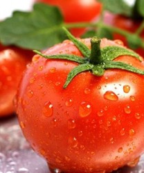 盛夏就吃这些蔬菜 清凉降火有奇效
