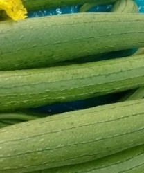 夏日吃四类食物巧养生  这食物吃出健康一夏