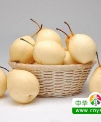 几种水果搞定初夏健康 健康养生吃起来