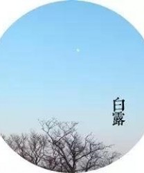 白露|换季最易生病，记住这四个食谱，秋冬才滋润！