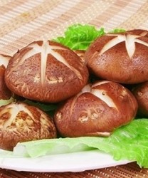 菌类营养价值高 5种常见蘑菇的独特功效