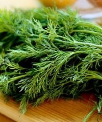 这种蔬菜味道怪  却可让你少生病