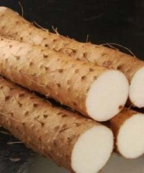 山药发芽能吃吗？  如何避免山药发芽