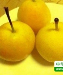 秋季肺燥，吃什么水果清肺润肺