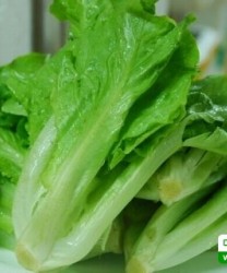 吃哪些蔬菜对肝好 排肝毒的蔬菜有哪些