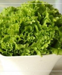 这些蔬菜营养好 关键是怎么吃都不发胖