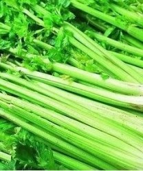 高血压应该吃什么蔬菜