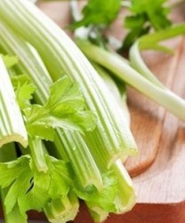 皮肤过敏饮食要注意  这些饮食上的宜忌要知道