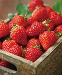 秋乏来袭困意生 常吃五种食物可赶走瞌睡虫